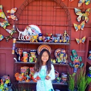 Meet your Posher, Dolores